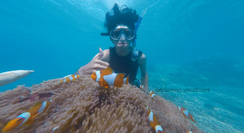 Snorkelling